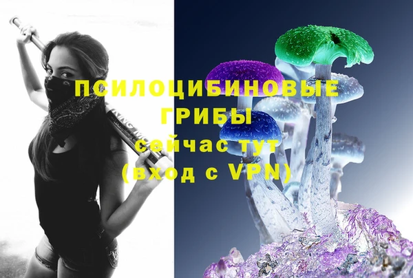 твердый Армянск